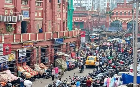 কলকাতার ৫৮টি ক্রসিংয়ে হকার নিয়ন্ত্রণ শুরু, এসআইআরে নাম না থাকলে মিলবে না ভেন্ডিং লাইসেন্স