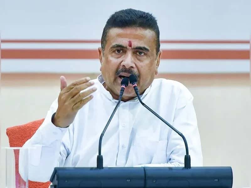 'আপনাদের ব্যবহার করব না, নির্বাচনে রাজনৈতিক ক্যাডার বানাব না', WBCS অফিসারদের বার্তা মুখ্যমন্ত্রীর