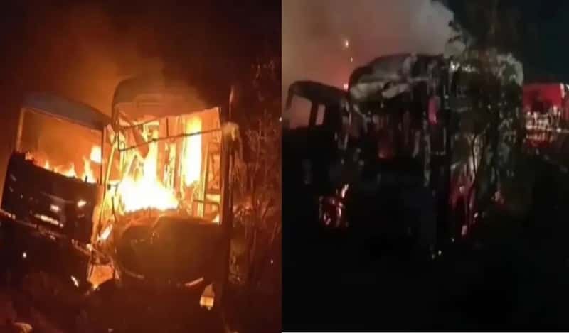 দিল্লি-মুম্বই এক্সপ্রেসওয়েতে ট্রেলারে ধাক্কা বাসের, ঘুমের মধ্যে মৃত্যু ৭ জনের! দগ্ধ একাধিক