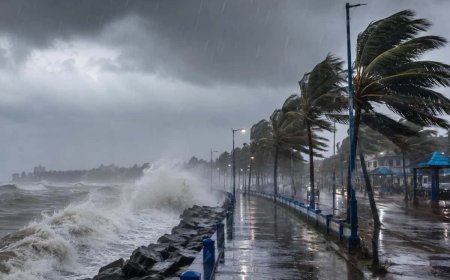 Weather: দিঘার কাছে নিম্নচাপ, দিনভর বৃষ্টি কলকাতা-দক্ষিণবঙ্গে! ৫০-৬০ কিমি বেগে ঝড়ো হাওয়ার সতর্কতা