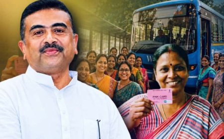 'যে মহিলারা ফ্রি টিকিট চান না তাঁদের কুর্ণিশ, বাকিদের জন্য পিঙ্ক কার্ড', বাস পরিষেবা নিয়ে মুখ্যমন্ত্রী