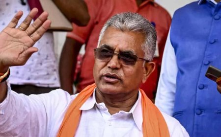 ৩ তৃণমূল প্রাক্তনী রাজ্যসভায়: 'অত মাথা ঘামানোর দরকার নেই', ক্ষুব্ধ কর্মীদের শান্ত থাকার বার্তা দিলীপের