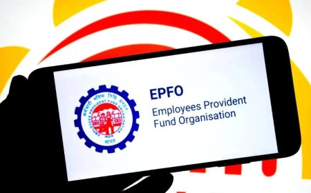 EPFO: পিএফ অ্যাকাউন্টে মোটা টাকা সুদ ঢুকল সকলের, কীভাবে দেখবেন ব্যালেন্স?