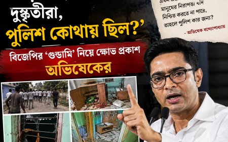 'বাড়িতে হামলা চালাল দুষ্কৃতীরা, পুলিশ কোথায় ছিল?', বিজেপির ‘গুন্ডামি’ নিয়ে ক্ষোভ প্রকাশ অভিষেকের