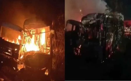 দিল্লি-মুম্বই এক্সপ্রেসওয়েতে ট্রেলারে ধাক্কা বাসের, ঘুমের মধ্যে মৃত্যু ৭ জনের! দগ্ধ একাধিক