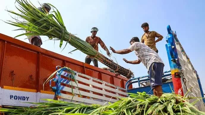 আখ যাচ্ছে ইথানলে, চিনির জোগান বাড়াতে ১০ বছর পর বিদেশ থেকে আমদানির ভাবনা! দাম বাড়ছে হুহু করে