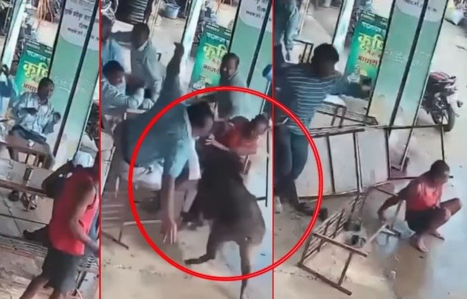 चाय की दुकान पर अचानक घुसा बेकाबू सूअर, CCTV में कैद हुई अफरातफरी; कई लोग गिर पड़े