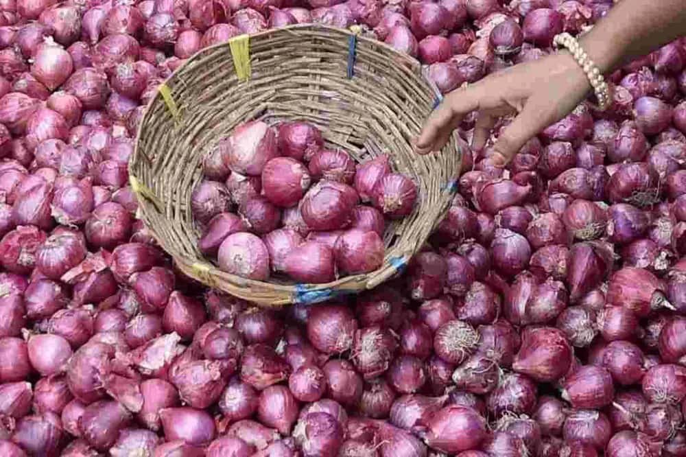 Onion Price Hike: দাম বৃদ্ধিতে চিনির সঙ্গে প্রতিযোগিতায় পেঁয়াজ, ১৫ দিনে বেড়ে দ্বিগুণ