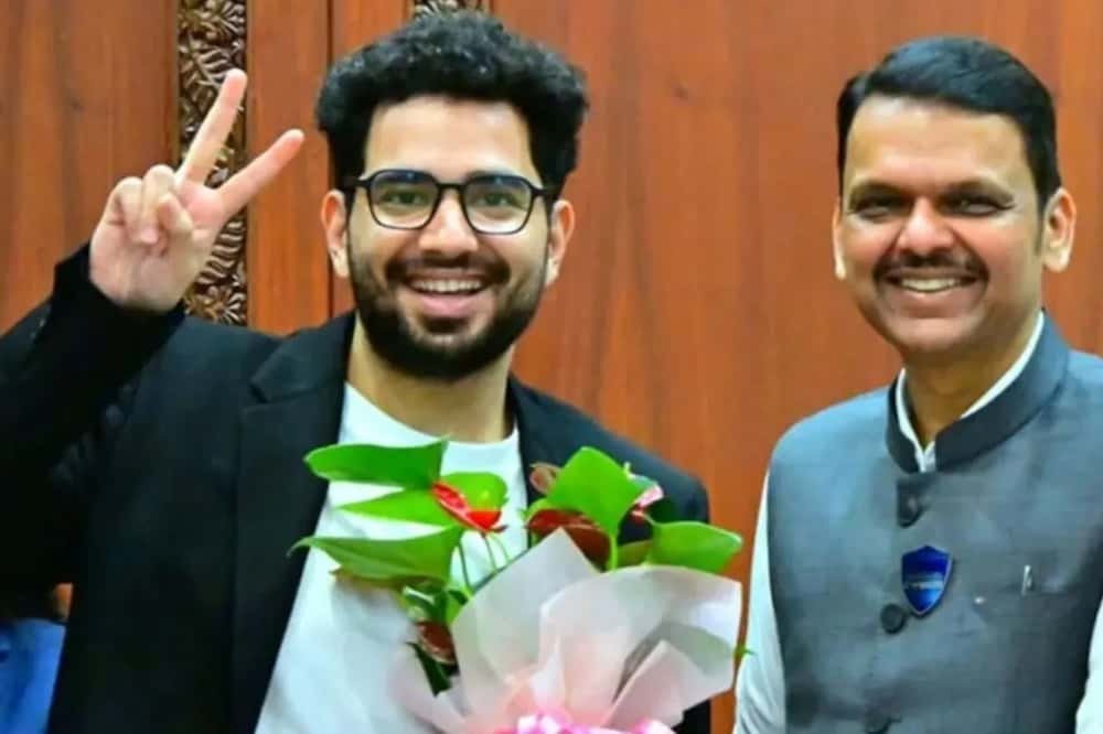 সাইবার সেলের গুঁতো থেকে সোজা সংবর্ধনা! ফড়ণবীশের সামনে 'ফুল সার্কেল' অভিজ্ঞতা শেয়ার করলেন সময়