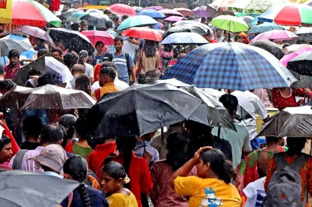 ভাদ্রতেও বর্ষার দাপট অব্যাহত রাজ্যে, ফের কলকাতা-সহ দক্ষিণে বৃষ্টি, উত্তরে দুর্যোগের পরিস্থিতি