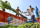 আখ যাচ্ছে ইথানলে, চিনির জোগান বাড়াতে ১০ বছর পর বিদেশ থেকে আমদানির ভাবনা! দাম বাড়ছে হুহু করে