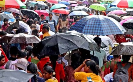 ভাদ্রতেও বর্ষার দাপট অব্যাহত রাজ্যে, ফের কলকাতা-সহ দক্ষিণে বৃষ্টি, উত্তরে দুর্যোগের পরিস্থিতি