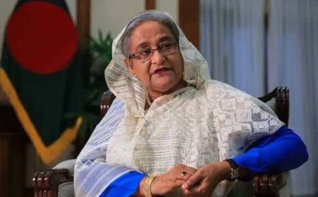 দেশে ফিরবই, দিল্লির সাংবাদিক বৈঠক থেকে তারেককে চ্যালেঞ্জ, রাজনৈতিক ভাষণ হাসিনার, ফের জানালেন, ফিরব, লড়ব, গড়ব
