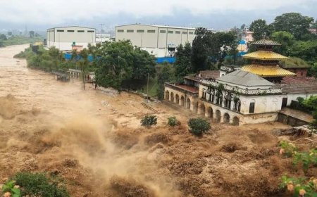 নেপালে হড়পা বানে খোঁজ মিলছে না প্রায় ১০৫ ভারতীয়র, যাচ্ছিলেন কৈলাস-মানস সরোবর দর্শনে