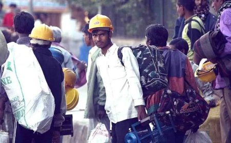 বাংলায় ফিরে আসা পরিযায়ী শ্রমিকদের জন্য 'রোজগার গ্যারান্টি কার্ড', ২২ জেলায় বিশেষ অভিযান রাজ্যের