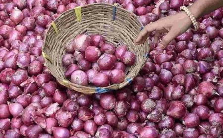 Onion Price Hike: দাম বৃদ্ধিতে চিনির সঙ্গে প্রতিযোগিতায় পেঁয়াজ, ১৫ দিনে বেড়ে দ্বিগুণ