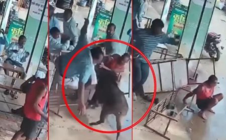 चाय की दुकान पर अचानक घुसा बेकाबू सूअर, CCTV में कैद हुई अफरातफरी; कई लोग गिर पड़े