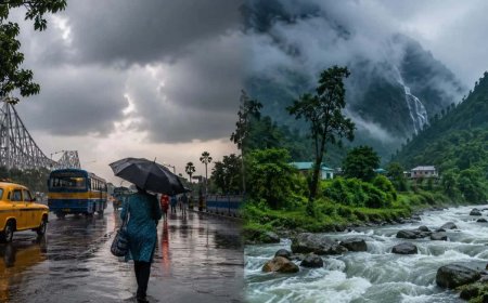 শ্রাবণের শেষলগ্নে বাংলায় বর্ষার জোড়া স্পেল! উত্তর থেকে দক্ষিণ- আগামী ক'দিনে ভাসবে একাধিক জেলা