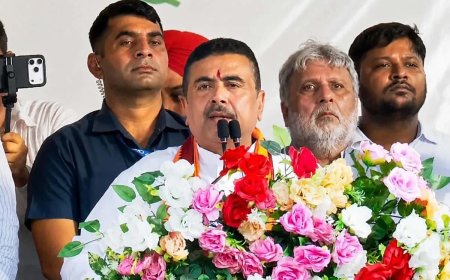 জাতীয় পতাকায় রঙিন ভবানীপুর! বদলের বাংলায় নিজের কেন্দ্রে 'তেরঙ্গা যাত্রা' মুখ্যমন্ত্রীর