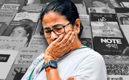 'পেনশন নিই না, বইয়ের রয়্যালটির টাকাও দিচ্ছে না', অভিযোগ মমতার, উড়িয়ে দিলেন প্রকাশক