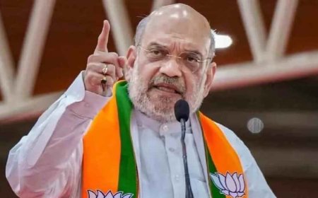 ‘দেশটা কোনও ধর্মশালা নয়, থাকার অধিকার শুধু নাগরিকদেরই’, অনুপ্রবেশ ও মাদক দমনে ২০ বছরের ব্লুপ্রিন্ট শাহের