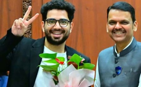 সাইবার সেলের গুঁতো থেকে সোজা সংবর্ধনা! ফড়ণবীশের সামনে 'ফুল সার্কেল' অভিজ্ঞতা শেয়ার করলেন সময়
