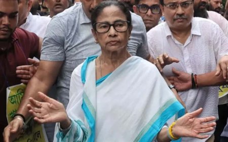 'বই লিখি, চাইলে নিজেই লাইব্রেরি বানিয়ে দিতে পারি', বিধানসভার বই ‘চুরি’র অভিযোগ উঠতেই সরব মমতা
