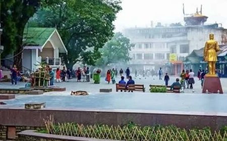 ২০ হাজার টাকায় সীমান্ত পেরিয়ে পাহাড় ভ্রমণ, দার্জিলিং থেকে গ্রেফতার 'বাংলাদেশি', নেওয়া হল হোল্ডিং সেন্টারে