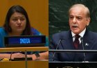UNGA में शहबाज को भारत का करारा जवाब, पेटल गहलोत ने आतंकवाद से PoK तक पाकिस्तान के दावों पर उठाए सवाल