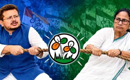 জোড়াফুলের আসল দাবিদার কে? নির্বাচন কমিশনের সঙ্গে তৃণমূলের দুই শিবিরের বৈঠক, আজই মিলবে আভাস?