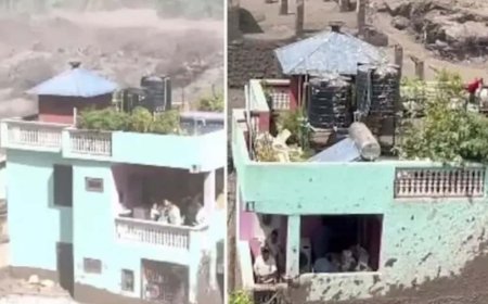 তাসের ঘরের মতো ভাঙে আশেপাশের দালান, কোন জাদুতে টিকল নেপালের সেই সবুজ বাড়ি? ব্যাখ্যা দিলেন বিশেষজ্ঞরা