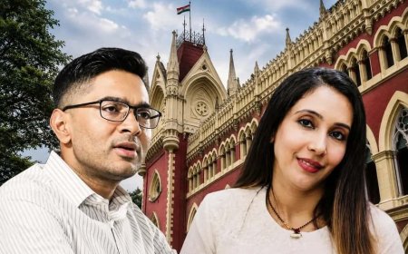 ‘স্বামী রাজনীতিক বলে স্ত্রীকে কেন টানা হবে?’ রুজিরার মিডিয়া ট্রায়ালে মন্তব্য হাই কোর্টের