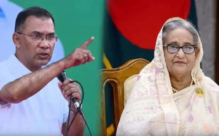 ভারতকে চাপে রাখতে হাসিনাকে ফেরানোর দাবি রাষ্ট্রসংঘে উত্থাপন করবেন তারেক